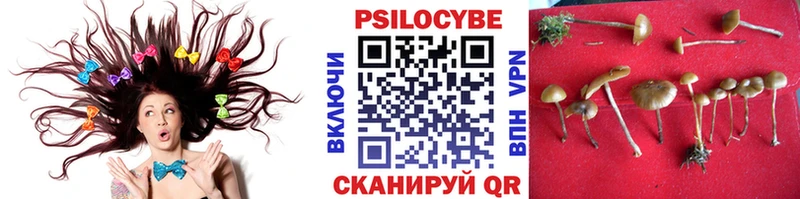 купить наркотик  Маркс  Псилоцибиновые грибы GOLDEN TEACHER 